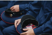 В Ростове появятся Муниципальная инспекция и Институт общественных советников