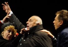 Привычка жениться