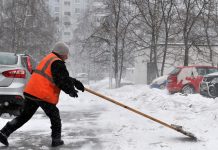 ФАС приостановил проведение закупки на уборку улиц Ростова