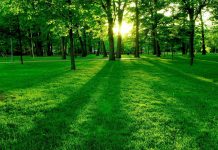 Теплая погода без осадков ожидает ростовчан в последнюю неделю лета