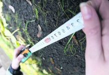 На Дону матери-героини смогут получить земельные участки //Фото с сайта norma.uz