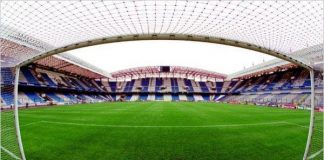 Французская компания хочет сертифицировать покрытия ростовских стадионов к ЧМ-2018