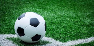 Немецкие компании предложили Ростову помощь в подготовке к ЧМ-2018