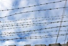 В Ростовской области задержали сбежавших 15 декабря заключенных