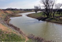 Река Маныч в Ростовской области практически обмелела