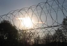 В Ростовской области УФСБ пресекло подготовку теракта в колонии