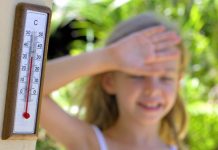 В Ростовской области июнь принесет жару и минимум осадков жара // фото с сайта photoxpress.ru