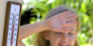 В Ростове спрогнозировали жаркую погоду во время ЧМ-2018 жара // фото с сайта photoxpress.ru