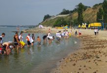 В Ростовской области самые грязные водоемы в Ростове и Таганроге