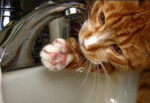 В Ростове 148 домов все еще без горячей воды нет горячей воды //Фото с сайта ridus.ru