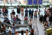 На Дону число туристов с начала года выросло на 60%