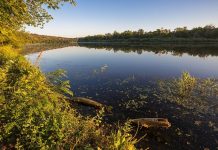 В Ростовской области создали институт общественных инспекторов по охране окружающей среды