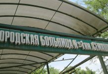 Власти Ростова-на-Дону готовы передать ЦГБ в концессию при определенных условиях