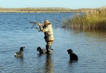 С 1 января в России вступили в силу новые правила охоты