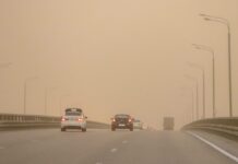 Синоптики прогнозируют на Дону пыльную бурю