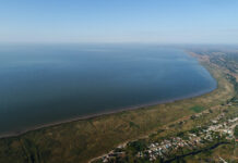 На Павло-Очаковской косе обнаружен массовый мор рыбы