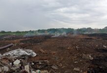 В Ростове накажут собственника территорий из-за мусора Мусор в Батайске // фото: Елена Синявская