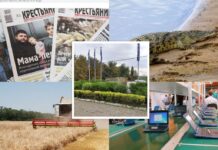 Завод по производству ноутбуков, закрытие «Крестьянина» и пропажа крокодила: итоги