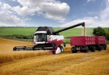 Лут: в Ростовской области низкая урожайность зерна из-за засухи