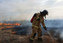 Лесной пожар в Верхнедонском районе удалось локализовать
