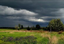 В Ростовской области в ближайшие часы прогнозируются ливни с грозой