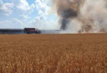 В Ростовской области ущерб зерновым из-за пожаров оценили в 19 млн рублей