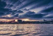 Осенний призыв, Западная хорда и победа желто-синих: итоги