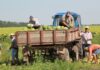 ://rostov.aif.ru