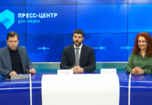 Руководитель гарантийного фонда Ростовской области: бизнес смог адаптироваться к новым условиям