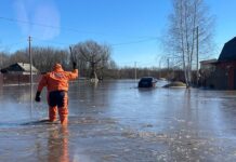 Эксперт: ранее весеннее половодье угрожает Ростовской области