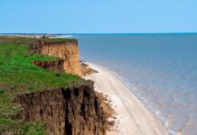 В Ростовской области разработают план защиты берегов Азовского моря