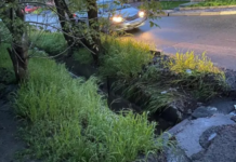 В Ростове во время ливня погибла женщина