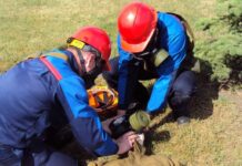 В городах и районах Ростовской области спланируют мероприятия по гражданской обороне