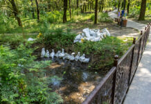 В Таганроге расчищают реку Большая Черепаха