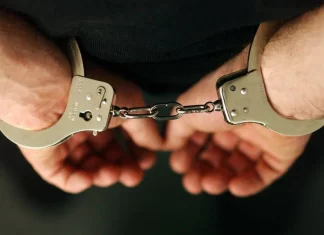 В Ростовской области возбуждено 389 коррупционных дел за девять месяцев 2025 года