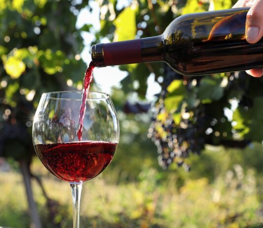 Отдых в Ростовской области: винный туризм