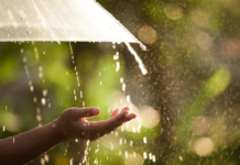 Климатолог Иошпа: в Ростовской области похолодает с 19 апреля