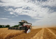 С начала года Сбер в Ростовской области профинансировал сезонно-полевые работы на 11,4 млрд рублей