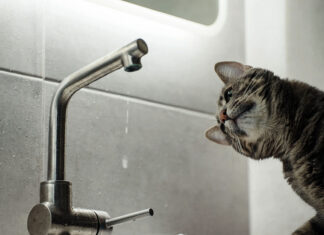 Часть Советского района Ростова останется без воды до вечера