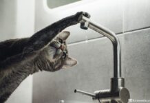 В Новошахтинске из-за аварии на водоводе остались без воды несколько районов