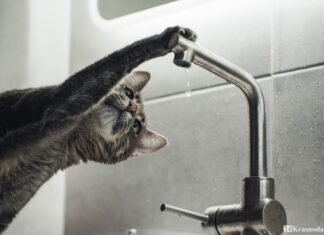 В Новошахтинске из-за аварии на водоводе остались без воды несколько районов