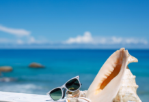 Только четверть жителей Ростовской области довольна отпускными выплатами отпуск // фото: www.sechenov.ru