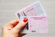 В России могут увеличить срок действия водительских прав до 20 лет Волительское удостоверение //Фото "За Рулем", zr.ru