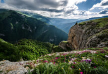 Из Ростова в Адыгею в ноябре запустят туристический поезд