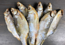 В Азовском море через 10 лет исчезнет тарань, лещ и судак