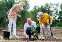Специалисты ботсада ЮФУ расскажут ростовчанам какие деревья лучше высаживать в Ростове В Ботсаде ЮФУ создали сирингарий из порядка 100 уникальных сортов сирени //Фото пресс-служба ЮФУ