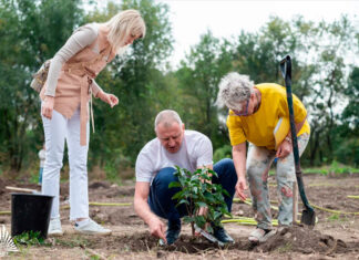 Специалисты ботсада ЮФУ расскажут ростовчанам какие деревья лучше высаживать в Ростове В Ботсаде ЮФУ создали сирингарий из порядка 100 уникальных сортов сирени //Фото пресс-служба ЮФУ