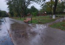 Департамент ЖКХ Ростова проиграл суды с подрядчиком по реконструкции парка им. 8 Марта