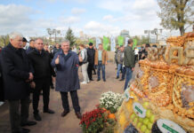 В Ростове отпраздновали «День донского урожая»