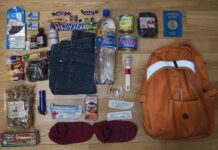 Власти Ростова рассказали о содержимом «тревожного чемоданчика»